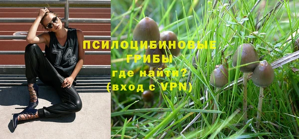mix Алексин