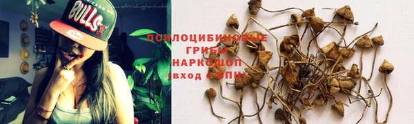 mix Алексин