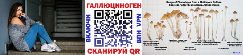 где купить   Кольчугино  Псилоцибиновые грибы GOLDEN TEACHER 